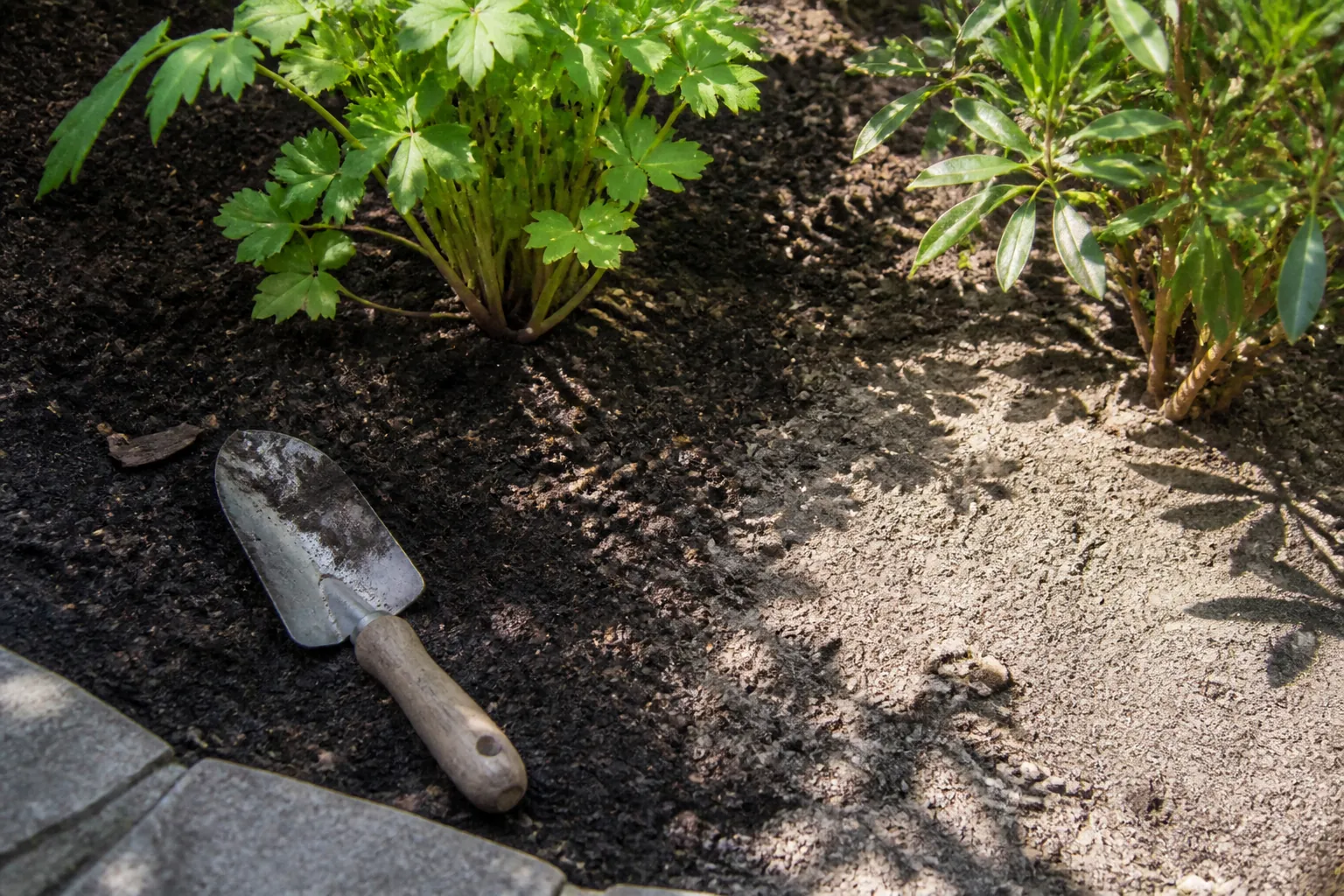 A used trowel lies between dark soil and lighter dry soil under leaf shadows.