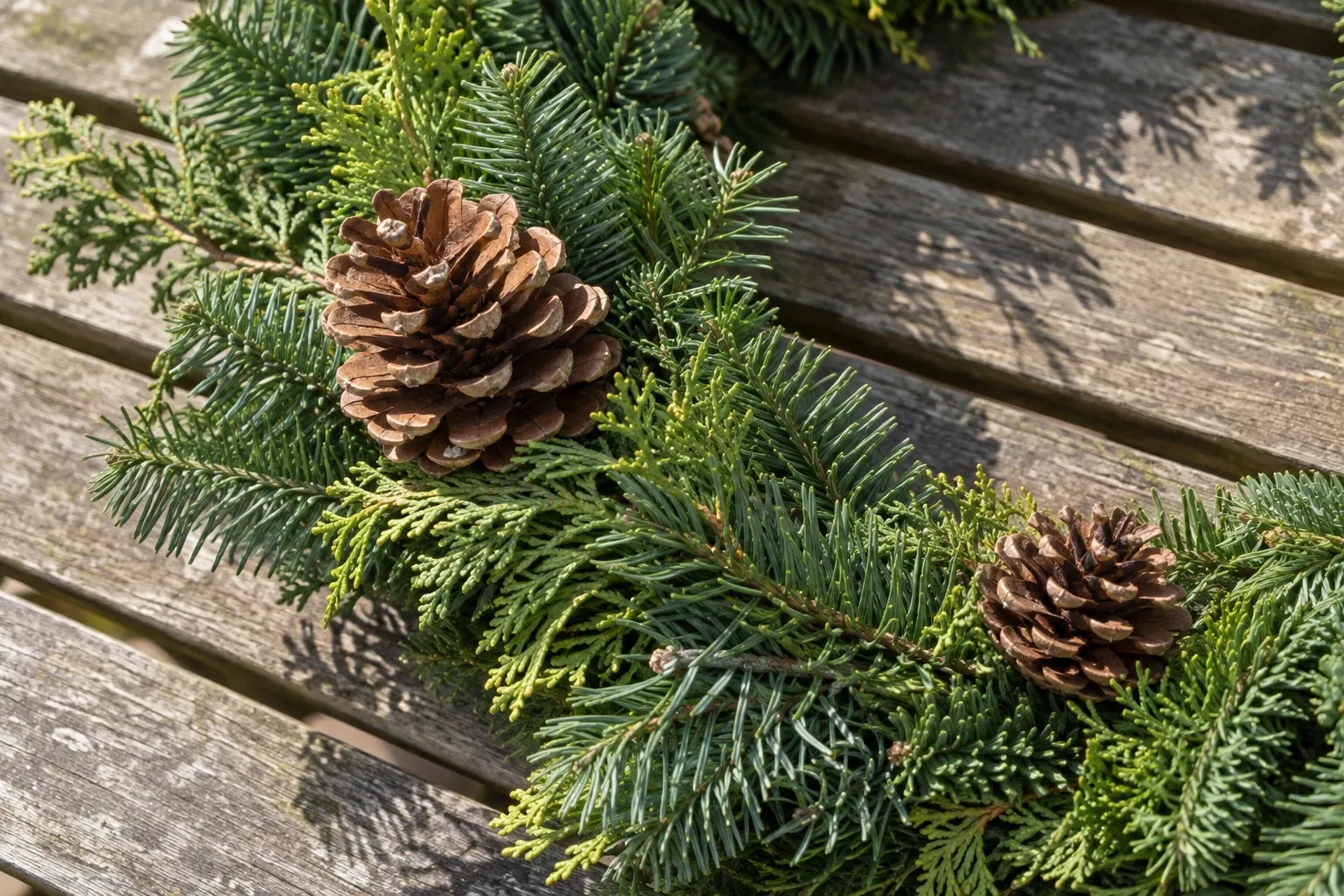 Close detail of evergreen wreath foliage and pine cones, showing the contrast between fine needles, flat conifer sprays and rough cone scales.