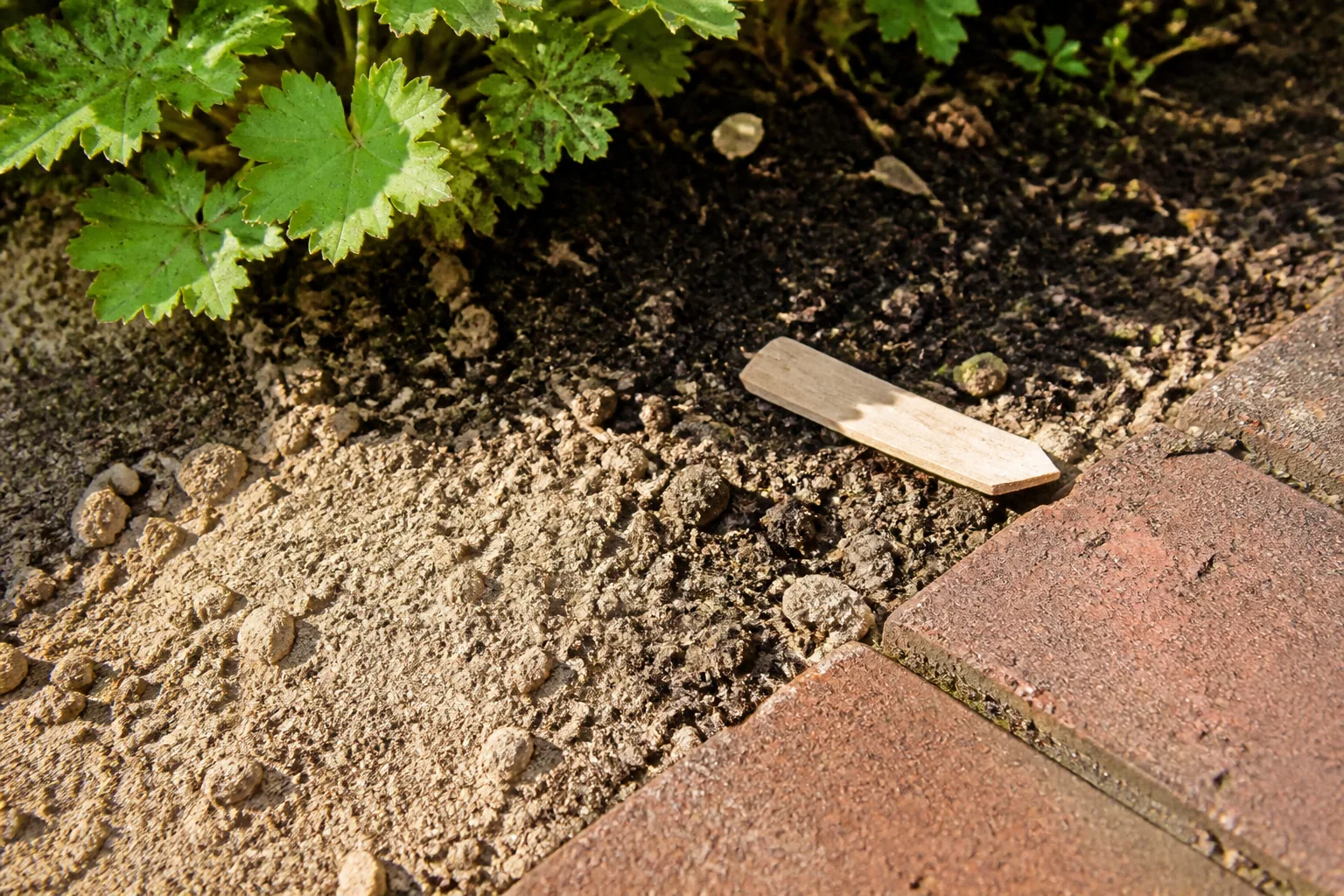 Dry pale soil meets a darker moist patch beside worn brick paving and low green leaves, with a blank wooden marker on the ground.