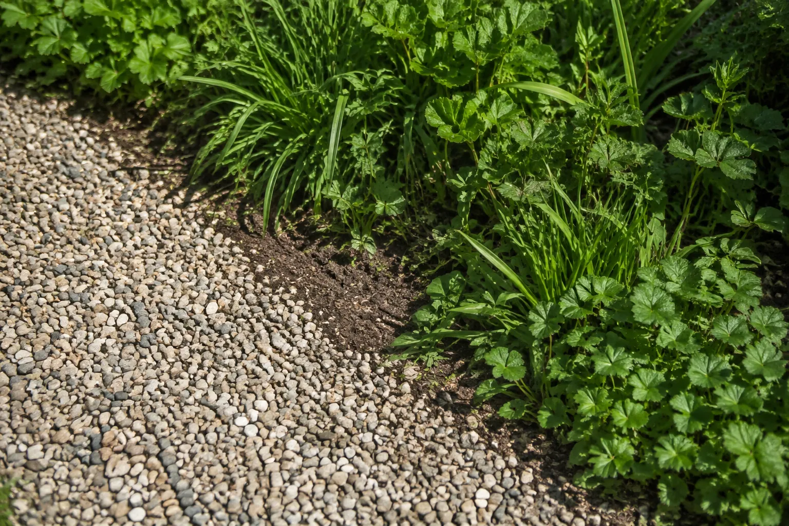 Fijn grind en open grond sluiten aan op gewone beplanting, met een bereikbare strook langs de rand.