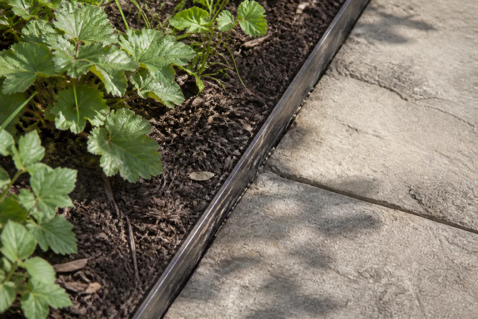 A slim dark metal edge holds mulch and planting beside worn pale path slabs, with both surface levels clearly visible.