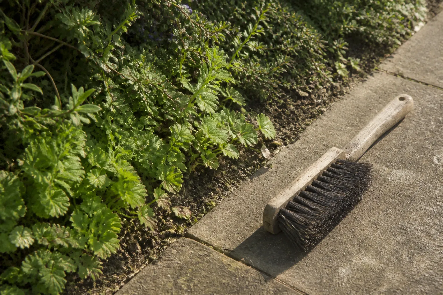 A small hand brush rests beside low planting that softens a path edge without covering the walking surface.