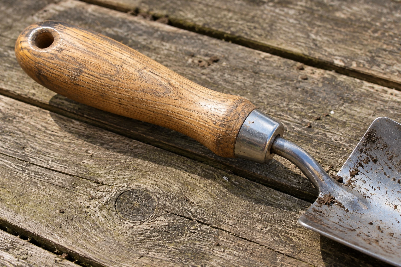 Close-up of the metal neck and handle connection on a wooden-handled garden trowel.