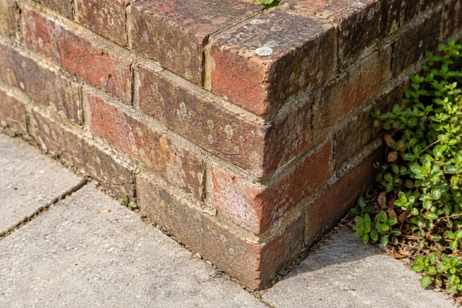 A weathered brick corner stands beside pale paving and low green foliage.
