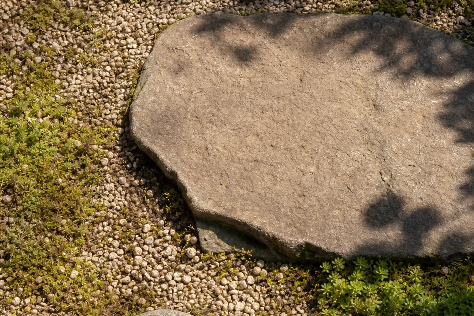 Three irregular stepping-stone edges shift gently through fine gravel and low groundcover without revealing the complete route.
