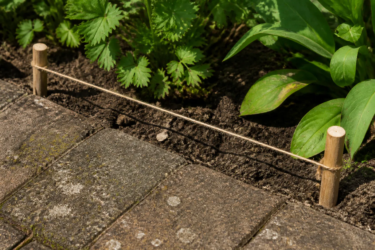 A taut twine line between plain wooden pegs marks the boundary between worn paving and a planted soil edge.