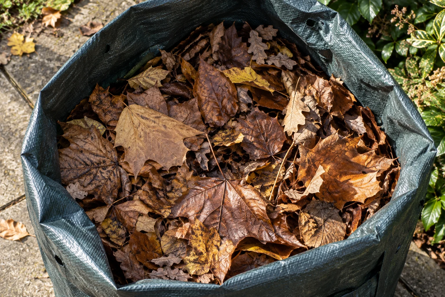 Damp brown and ochre fallen leaves fill the open mouth of a plain garden sack.