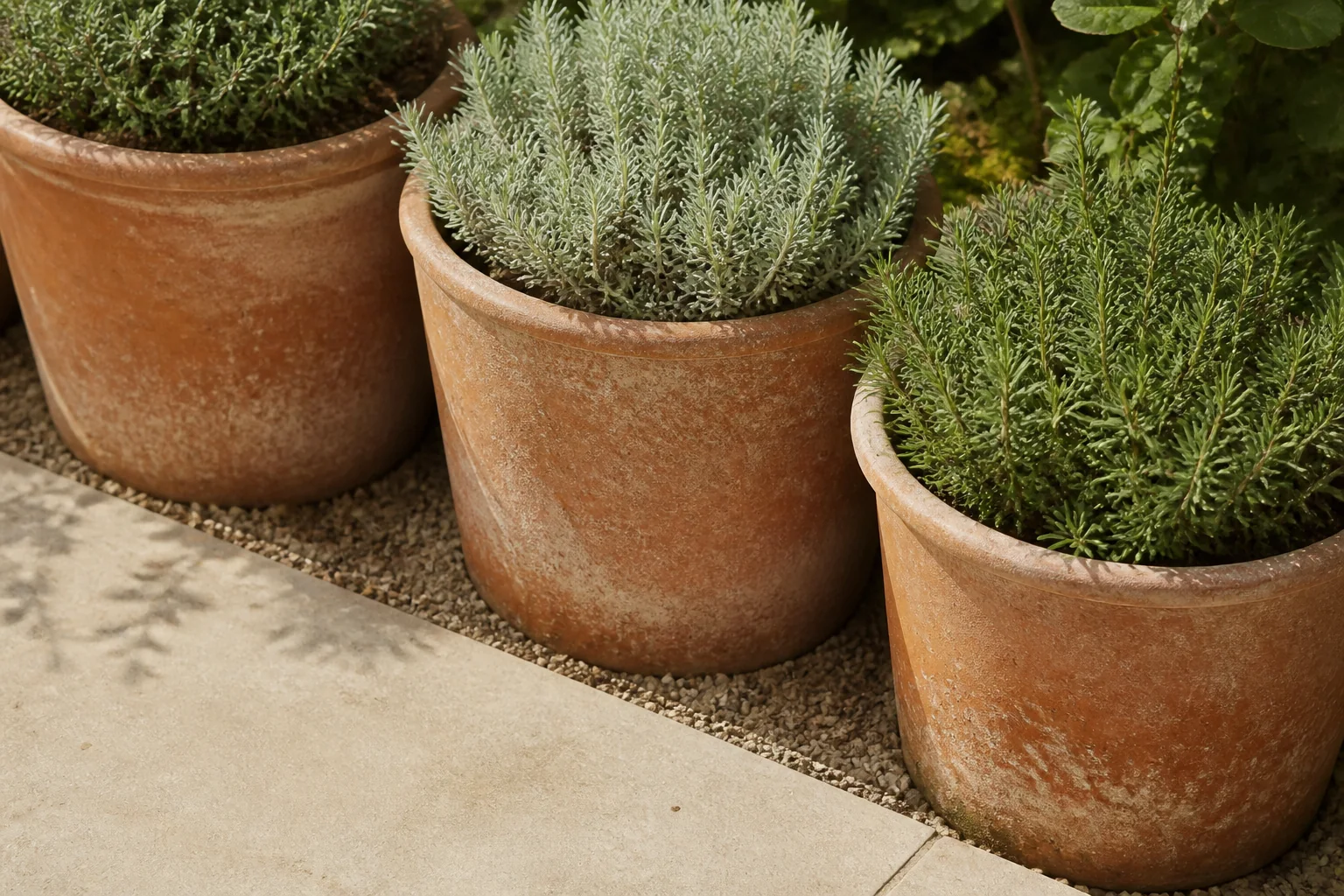 Three weathered terracotta pots repeat one warm material beside pale paving and a narrow gravel joint.