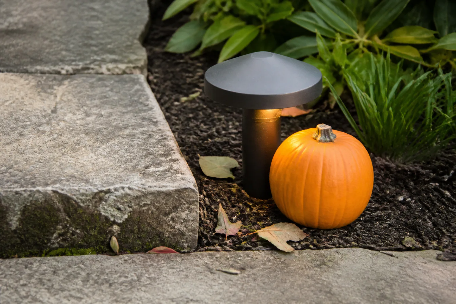 A low shielded garden light and small pumpkin sit off the walking surface beside a visible stone step.