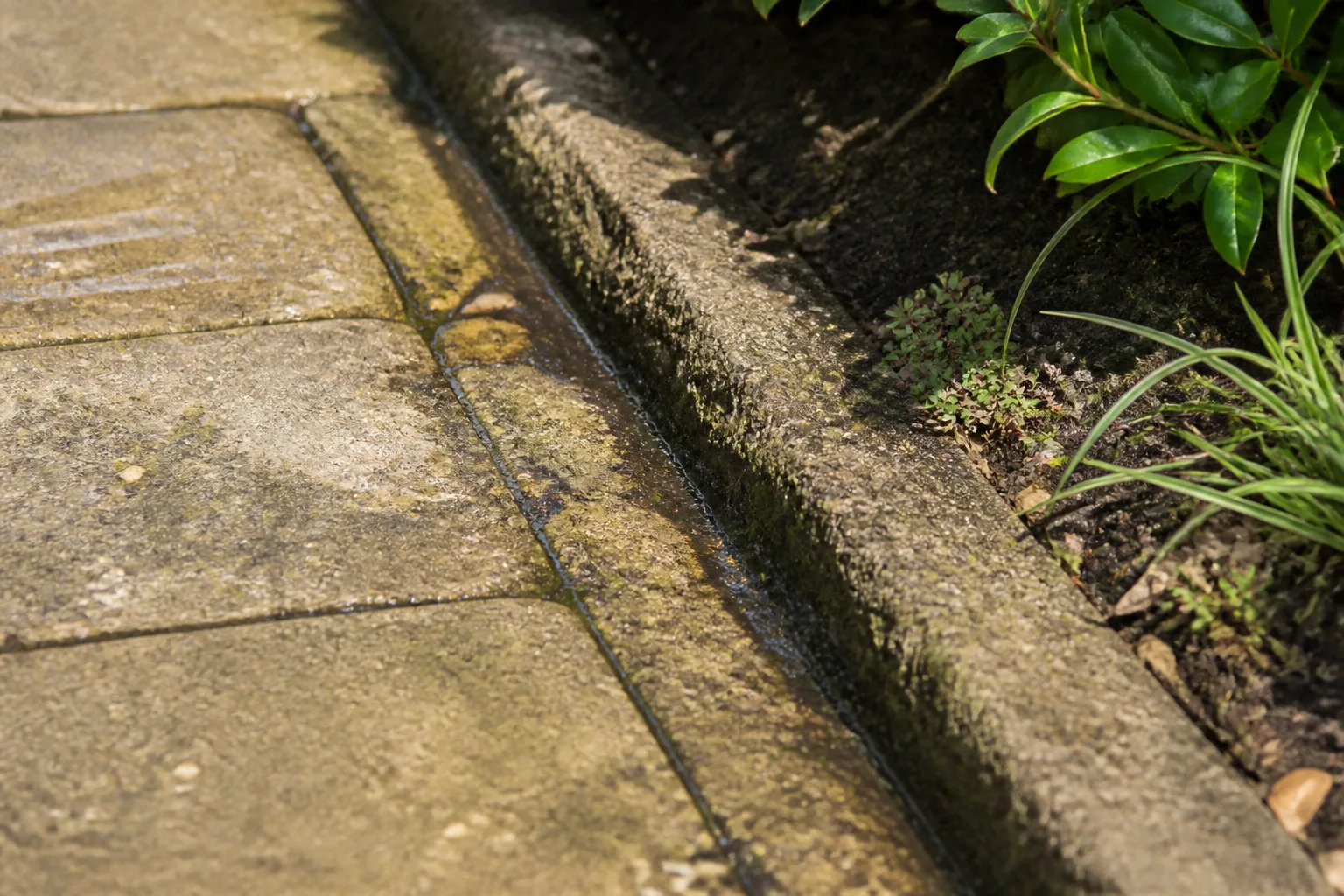 Een smalle afvoergoot loopt tussen verweerde bestrating en een plantvak, een toestand die je vroeg wilt laten controleren.