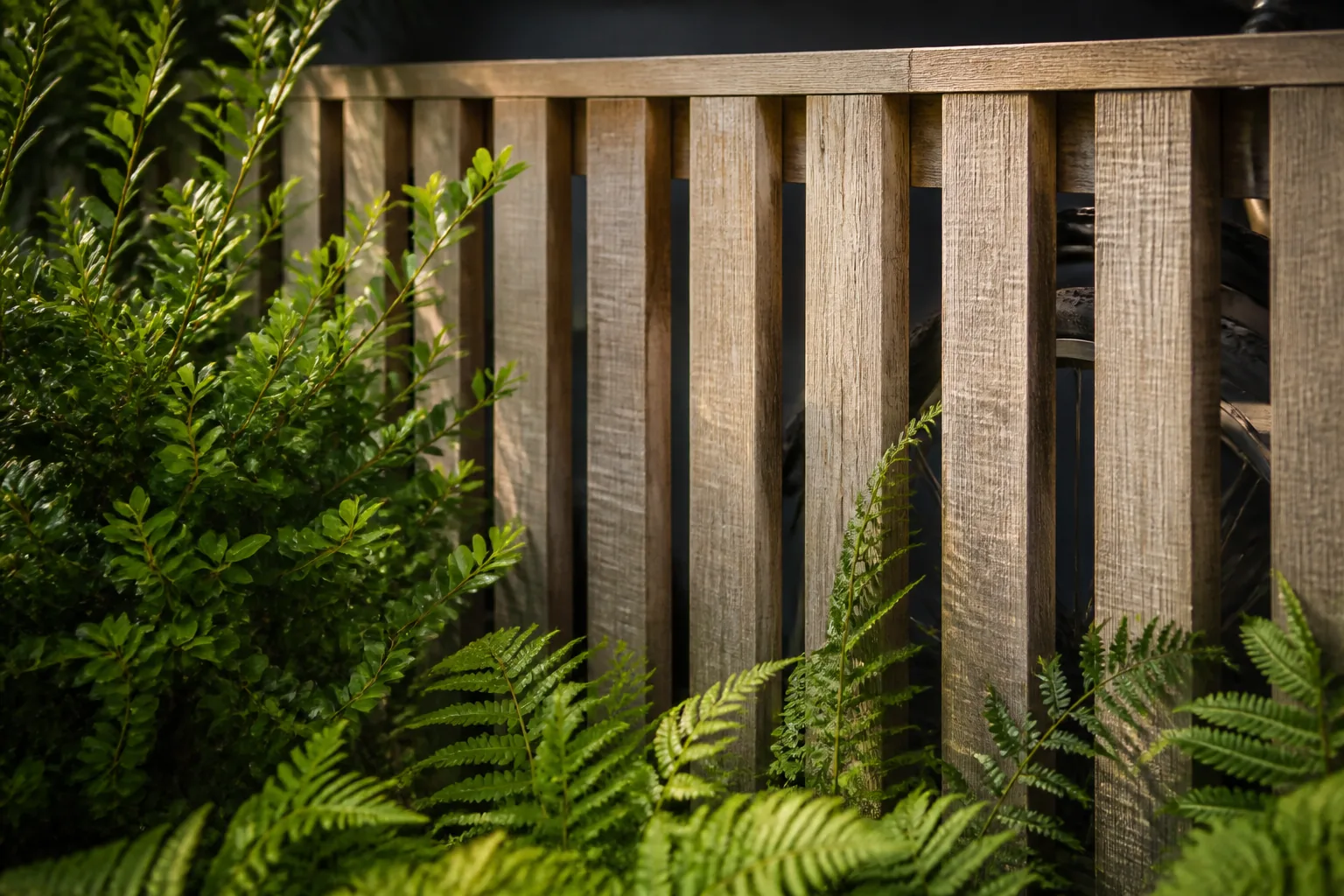 A low weathered oak-slat screen partly hides bicycle storage while ferns and a compact evergreen soften its sunny outer edge.