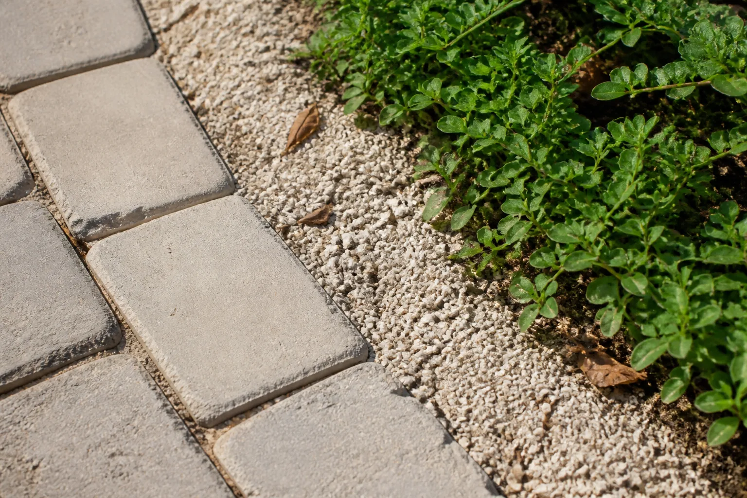 Worn pale pavers meet a narrow strip of light gravel and low groundcover at one clear surface edge.